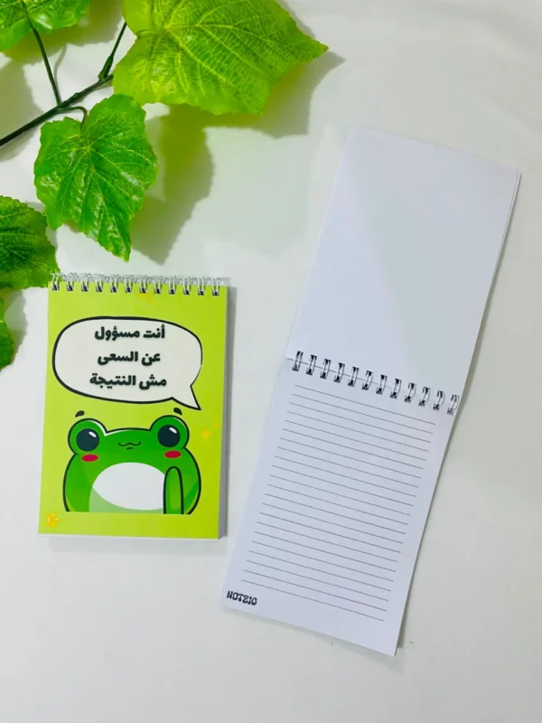 النجاح مش ضربة حظ